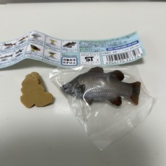 781  　原色淡水魚図鑑1初版フィギュア［13アカメ］と台座とミニブックの画像