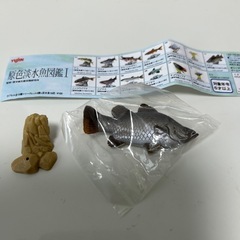 781  　原色淡水魚図鑑1初版フィギュア［13アカメ］と台座と...