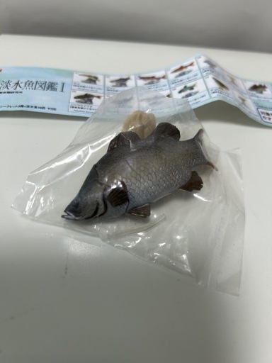 原色淡水魚図鑑1 初版 Amazon | 原色 淡水魚図鑑Ⅰ 再版 13種（シークレット3種なし