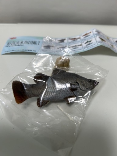 原色淡水魚図鑑1 初版 Amazon.co.jp: ユージン 原色淡水魚図鑑Ⅰ 初版 全16種 フル