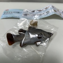 781  　原色淡水魚図鑑1初版フィギュア［13アカメ］と台座とミニブックの画像