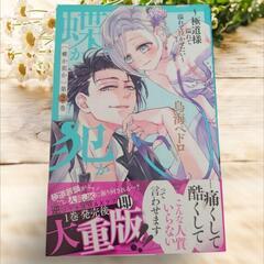 《美品》蝶か犯か～極道様 溢れて溢れて泣かせたい～ 1～3巻セットの画像