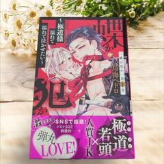 《美品》蝶か犯か～極道様 溢れて溢れて泣かせたい～ 1～3巻セットの画像