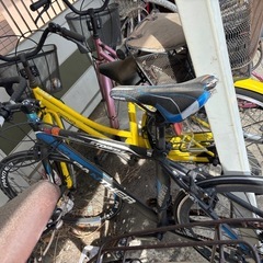 自転車