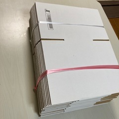 60サイズ　白ダンボール20枚