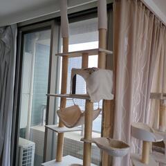 【決まりました】キャットタワー3点中古の画像