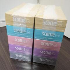 Scottie　10箱・