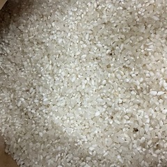 新米  砕米  ヒノヒカリ 農薬不使用   5kg  ②
