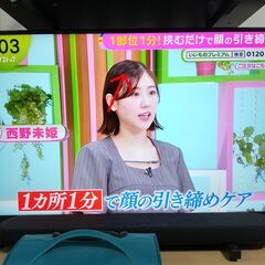 【引き取りに来れる方のみ】50インチ4K液晶テレビあげます※難あり