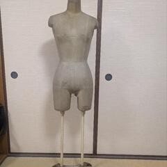 ボディ（トルソー）