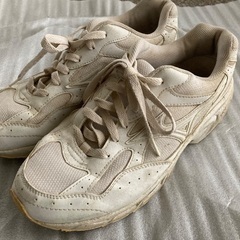 ミズノのスニーカー27.5㌢