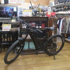 ぜオルト  xealt  電動マウンテンバイク  Panason...