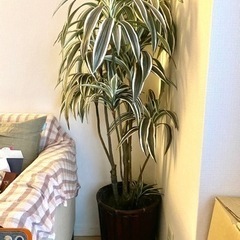 観葉植物　(造花)