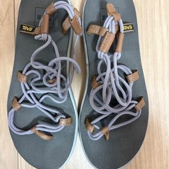 【Teva ：VOYA INFINITY】