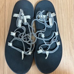 【Teva ：VOYA INFINITY】