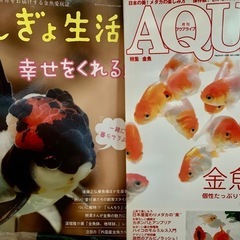 1冊500円〜　金魚特集