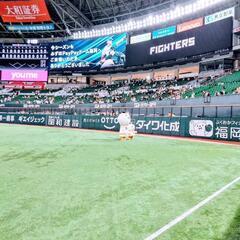 野球チケット