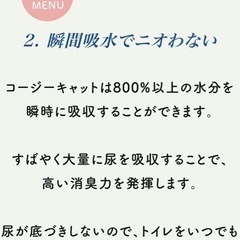 コージーキャット(オーガニック猫砂)ドイツ製の画像