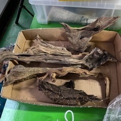 アクアリウム　流木　6個