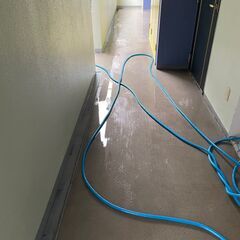 【サービス名：清掃ホワイトダッシュの清掃スタッフ募集（神奈川県川崎市幸区）／賃貸１棟共用部清掃依頼オーナーの方募集】の画像