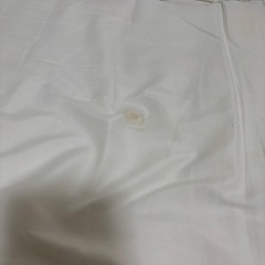 【急募:22日まで】シングル敷布団の画像