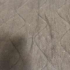 【急募:22日まで】シングル用シーツ の画像