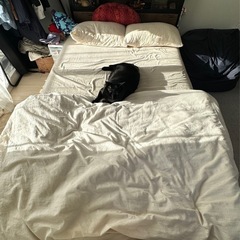 枕、布団の画像