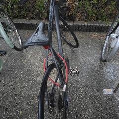 TREC　fx3 Lサイズ