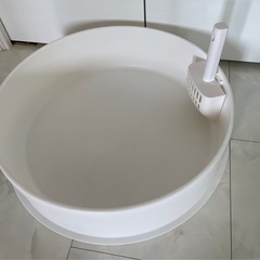 ピダン　猫　トイレ
の画像