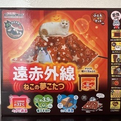 ねこの夢こたつ