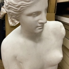 ミロのヴィーナス 石膏像の画像