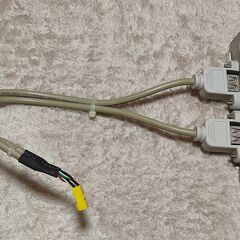 【中古動作確認品】USB　2口増設　拡張ボード