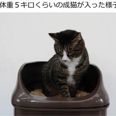 ニャンとも 清潔トイレ　ブラウン　美品　の画像