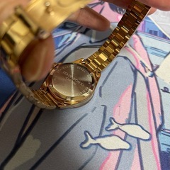 ドルチェセグレート レディース腕時計 美品
の画像