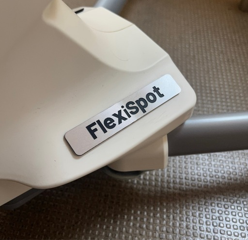 Flexispot V6 フィットネス チェア トレーニング