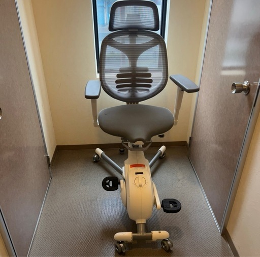 Flexispot V6 フィットネス チェア トレーニング