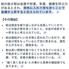 蛇の抜け殻 ボールパイソンの画像