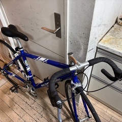SCHWINN Fastback シュウインロードバイク COLORADO U.S.A