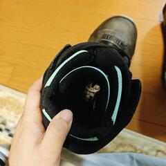 FLOW Lotus スノーボードブーツ ブラック/ミント 23cm 未使用近の画像