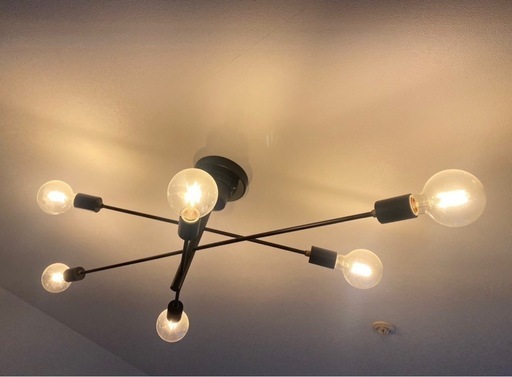 【お買得】美品　Unico astre ウニコ　ライト　電球