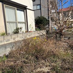 敷地内の雑草除去、植栽伐採の★リフォームの森の植栽伐採★町田支店 - 町田市