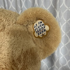 テディベア特大　の画像