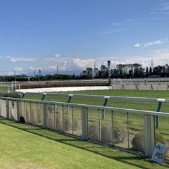 新潟競馬場一緒に行ける方募集！