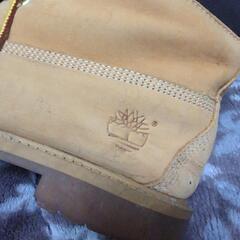 ティンバですの画像