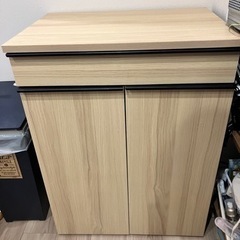 ごみ箱　引き出し式　収納あり