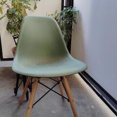 ダイニングチェア