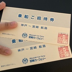 【決まりました】宮崎神戸フェリーペア往復チケット
