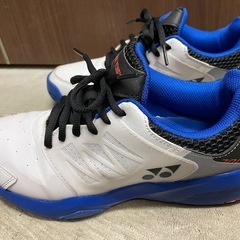 ヨネックス 25cm オールコート用 の画像