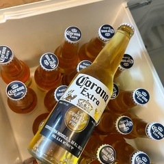 （お取引中）コロナビール 20本