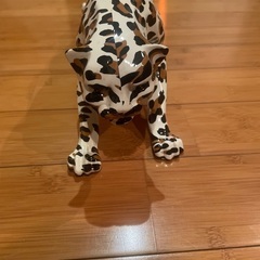 ヒョウの置物の画像